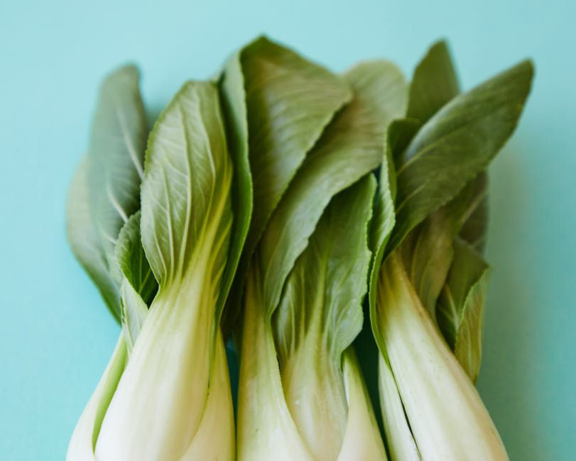 Sesame Ginger Bok Choy